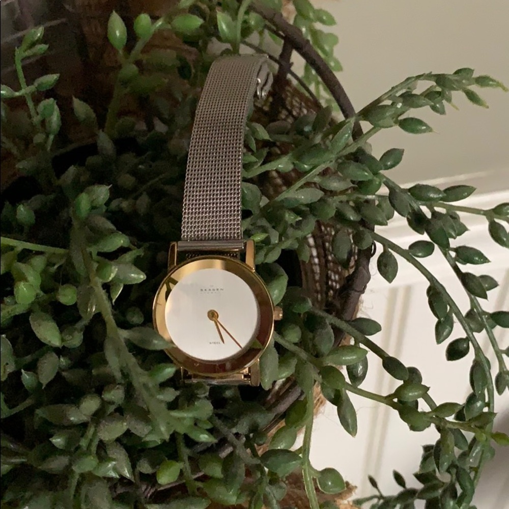 Skagen watch